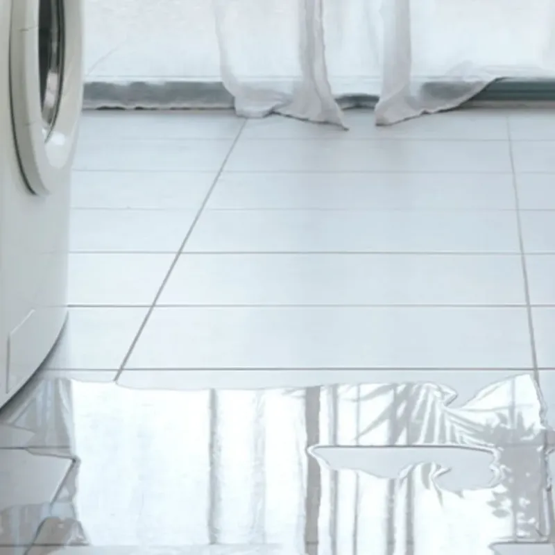 Appliance Leak Cleanup in Weston, MO