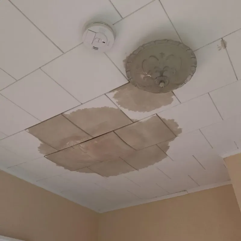 Ceiling Water Damage Repair in Weston, MO