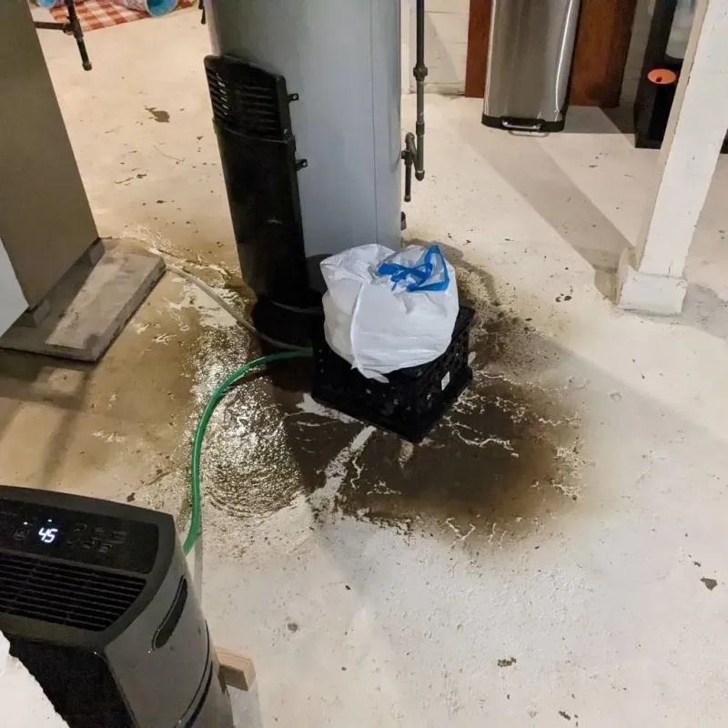 Sewage Backup Cleanup Service in Weston, MO